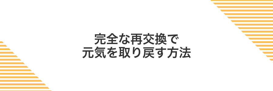 完全な再交換で元気を取り戻す方法