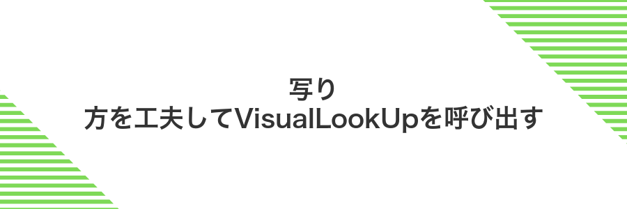 写り方を工夫してVisualLookUpを呼び出す