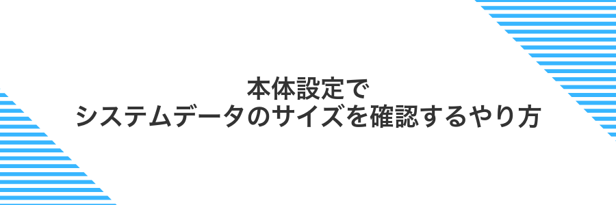 本体設定でシステムデータのサイズを確認するやり方