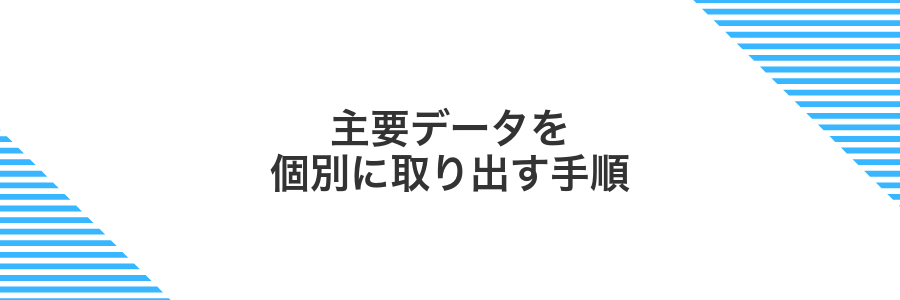 主要データを個別に取り出す手順